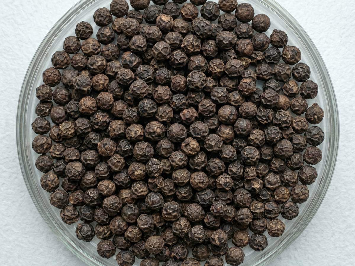 Karabiber