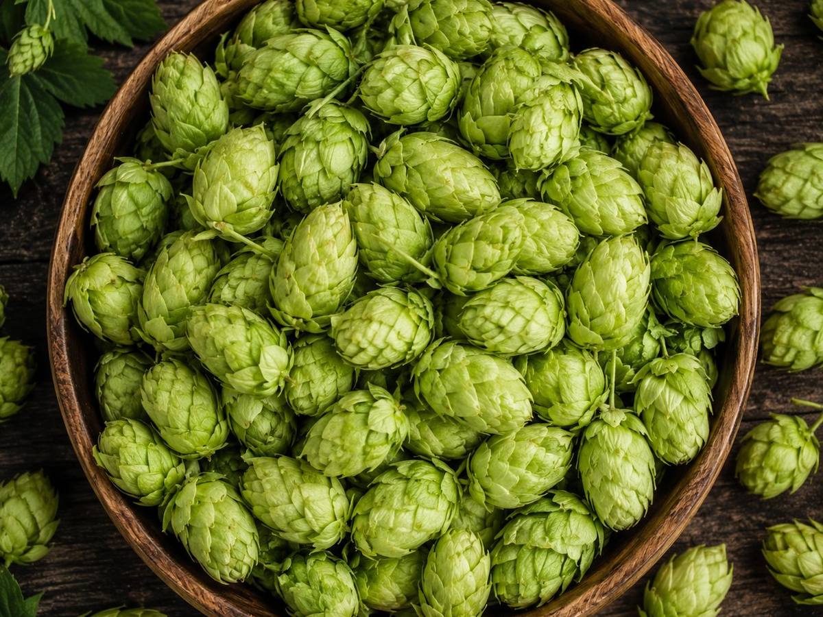 Hops